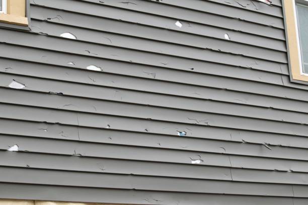 Best Property Management Cleanouts  in Festus, MO